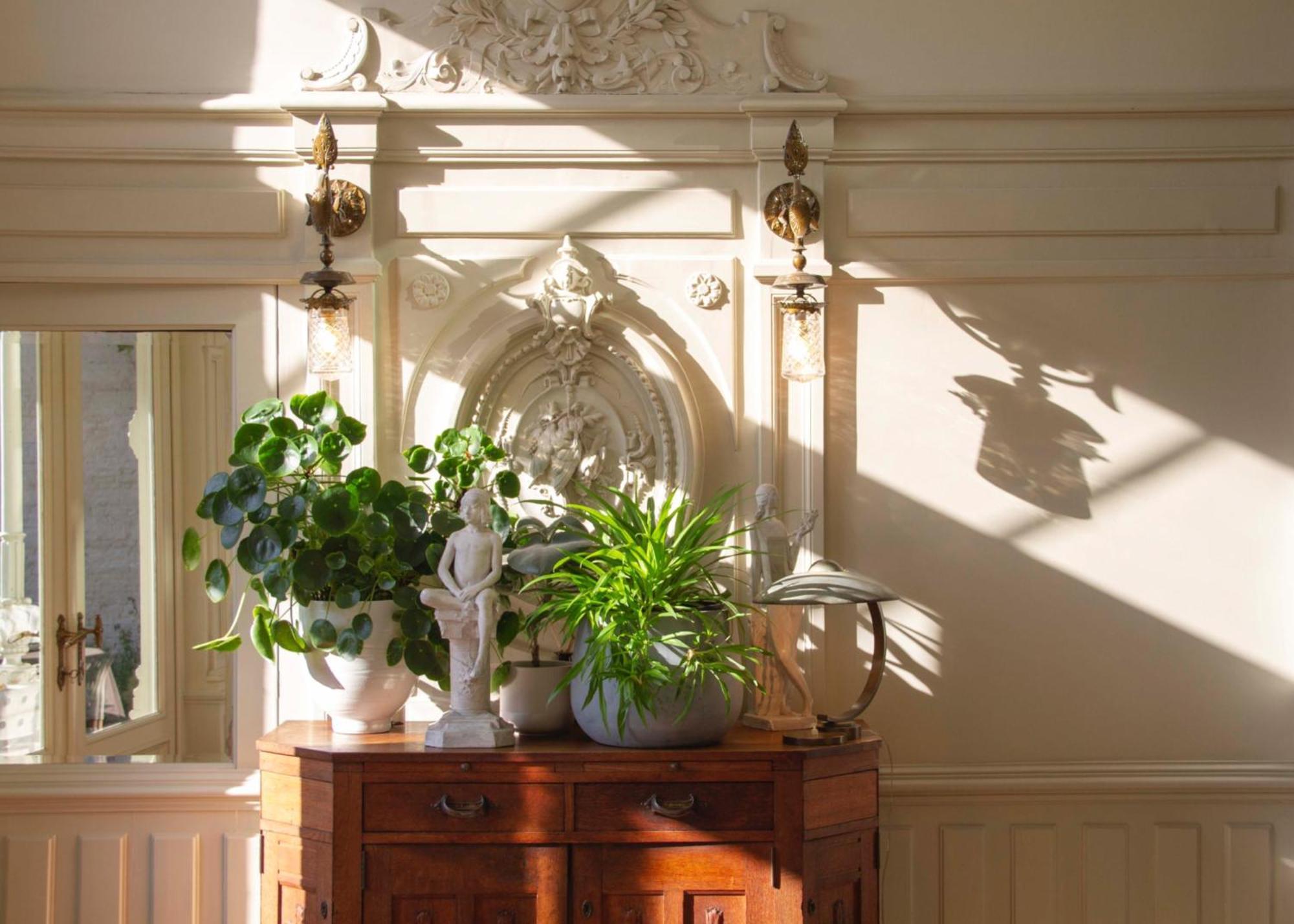 Huis Dujardin Bed&Breakfast Antwerpen Exteriör bild