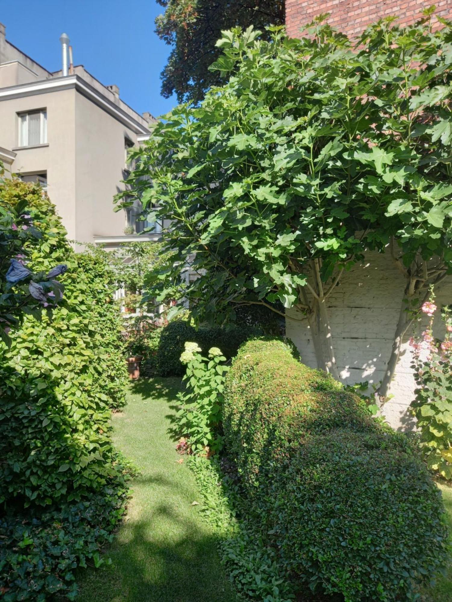 Huis Dujardin Bed&Breakfast Antwerpen Exteriör bild