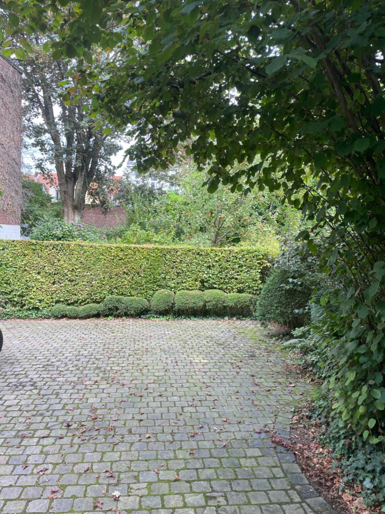 Huis Dujardin Bed&Breakfast Antwerpen Exteriör bild